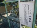 fukuroihamamatsu0105.jpg