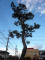 kuwanakameyama0151.jpg