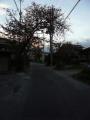 kuwanakameyama0156.jpg