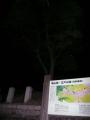 kuwanakameyama0204.jpg