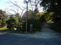 shimada-0097.jpg