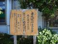shimada-0120.jpg