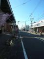 shimada-0171.jpg